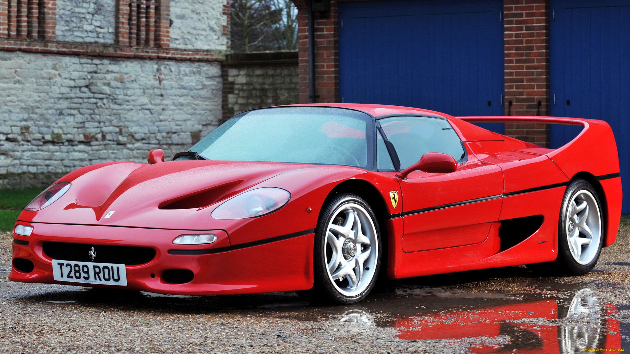 ferrari, , , , f50